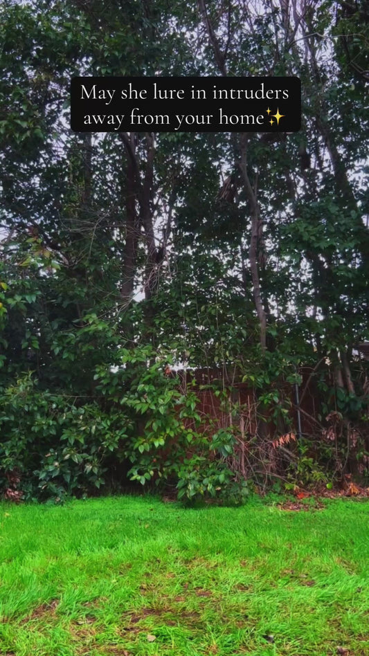 Mavka Watches 24”x24”